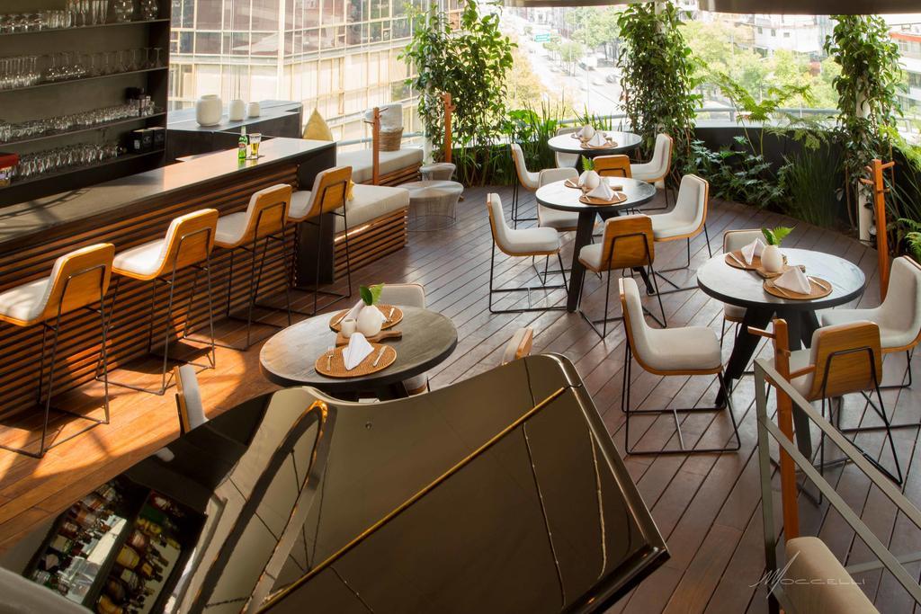 Suites Contempo Mexico City Exterior photo The bar at the 10th floor